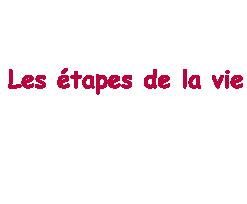 SIsi