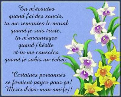 C SA UN OU UNE VRAI(E)AMI(E)
